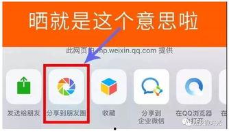最新福利爆料,惊喜连连,福利满满,你值得拥有!